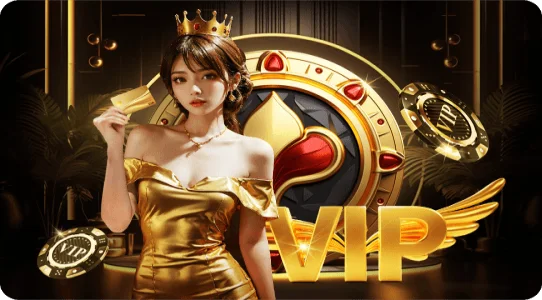 ภาพประกอบระดับสมาชิก VIP จากคลัง N98